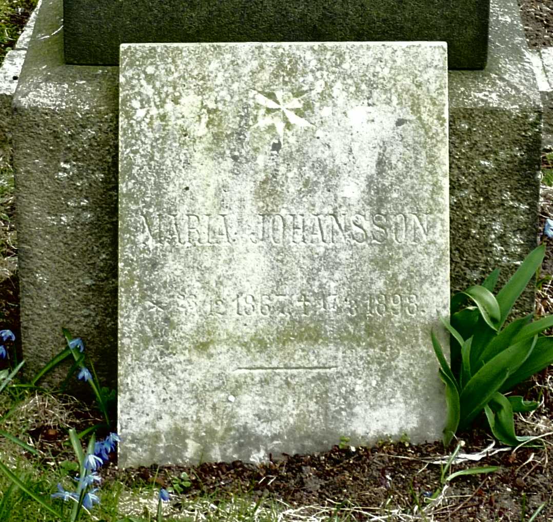 gravstenar_raringaring_johanssonmaria_1867-1898_grav_2-315.jpg