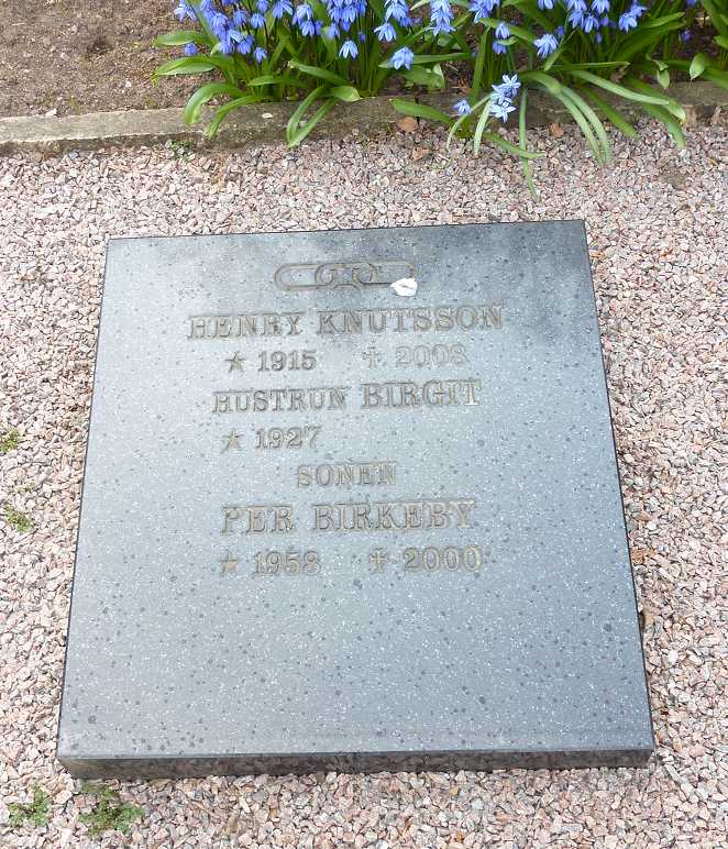 gravstenar_raringaring_knutssonhenry_grav_1-210.jpg